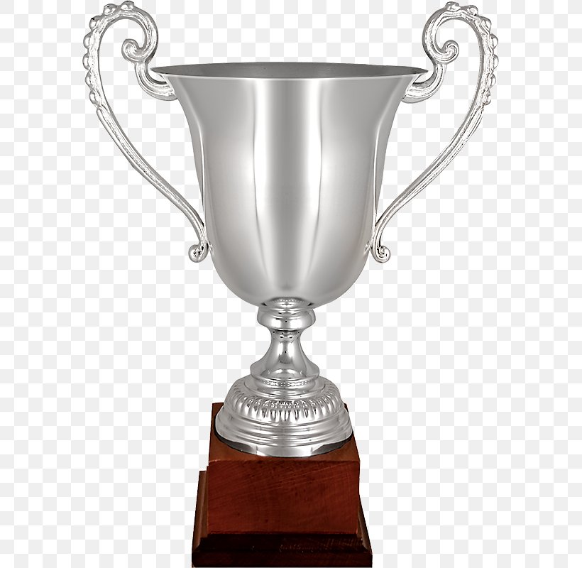 Trophy Award Sport Cup Silver, PNG, 587x800px, Trophy, Award, Cup, Diploma, Drinkware Download Free