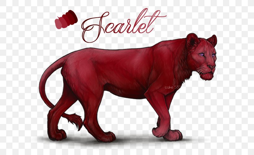 Cougar Cat Cheetah Lion Panther, PNG, 640x500px, Cougar, African Lion, Animal, Big Cat, Big Cats Download Free