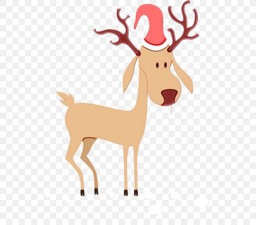 Reindeer Cartoon, PNG, 556x720px, Reindeer, Antler, Cartoon, Deer, Drawing Download Free
