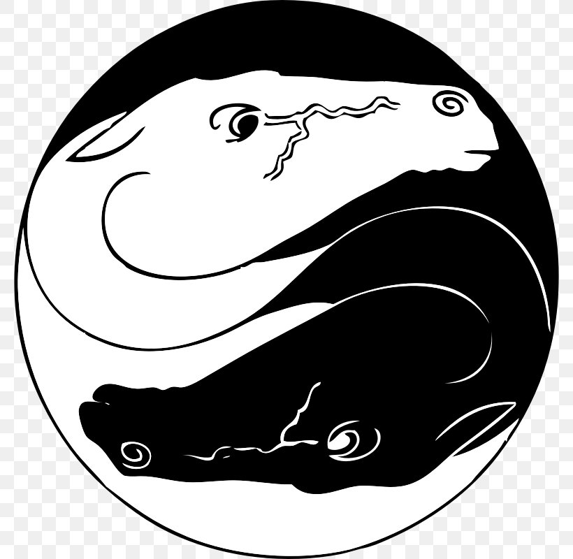 Yin And Yang Symbol Clip Art, PNG, 800x800px, Yin And Yang, Art, Black, Black And White, Carnivoran Download Free