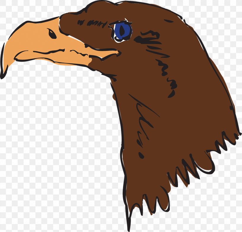 Bird Bald Eagle Beak Clip Art, PNG, 1280x1230px, Bird, Animal, Bald Eagle, Beak, Bear Download Free