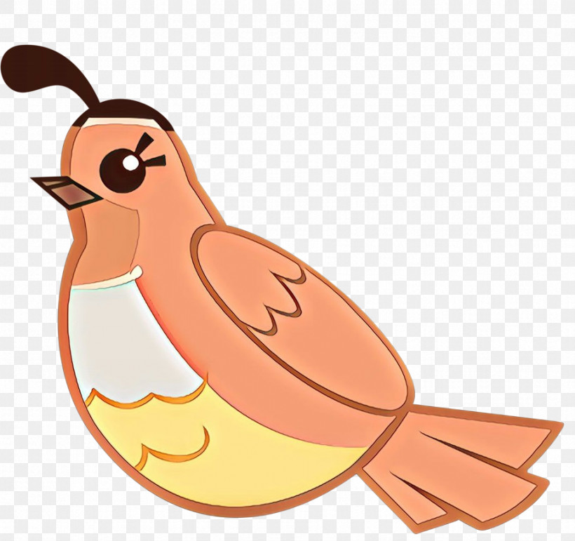Bird Cartoon Beak, PNG, 921x867px, Bird, Beak, Cartoon Download Free