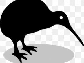 Bird - Bird Vector Graphics Stock Photography Illustration Royalty-free PNG