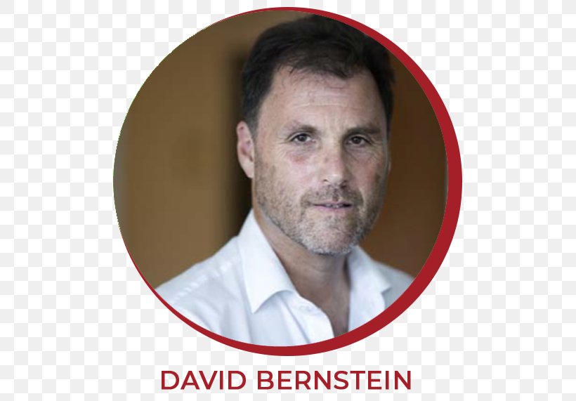 David P. Bernstein Schema Therapy Professor Psychotherapist, PNG, 521x571px, Schema Therapy, Chin, Facial Hair, Forehead, Moustache Download Free