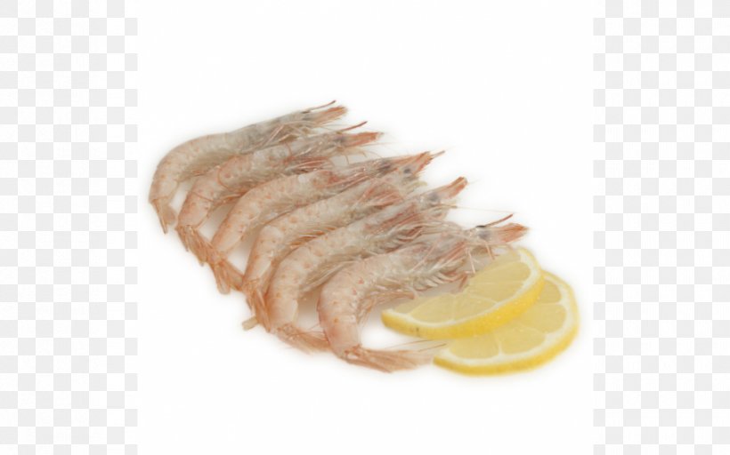 Fish Slice Shellfish Shrimp Norway Lobster Cooking, PNG, 940x587px, Fish Slice, American Lobster, Animal Fat, Animal Source Foods, Cooking Download Free