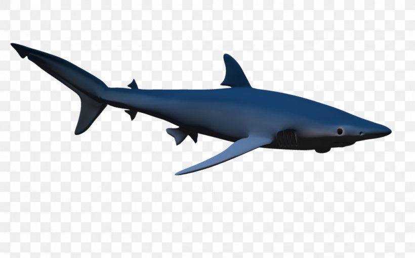 Hammerhead Shark Clip Art, PNG, 1024x639px, 3d Computer Graphics, Shark, Blue Shark, Bull Shark, Cartilaginous Fish Download Free