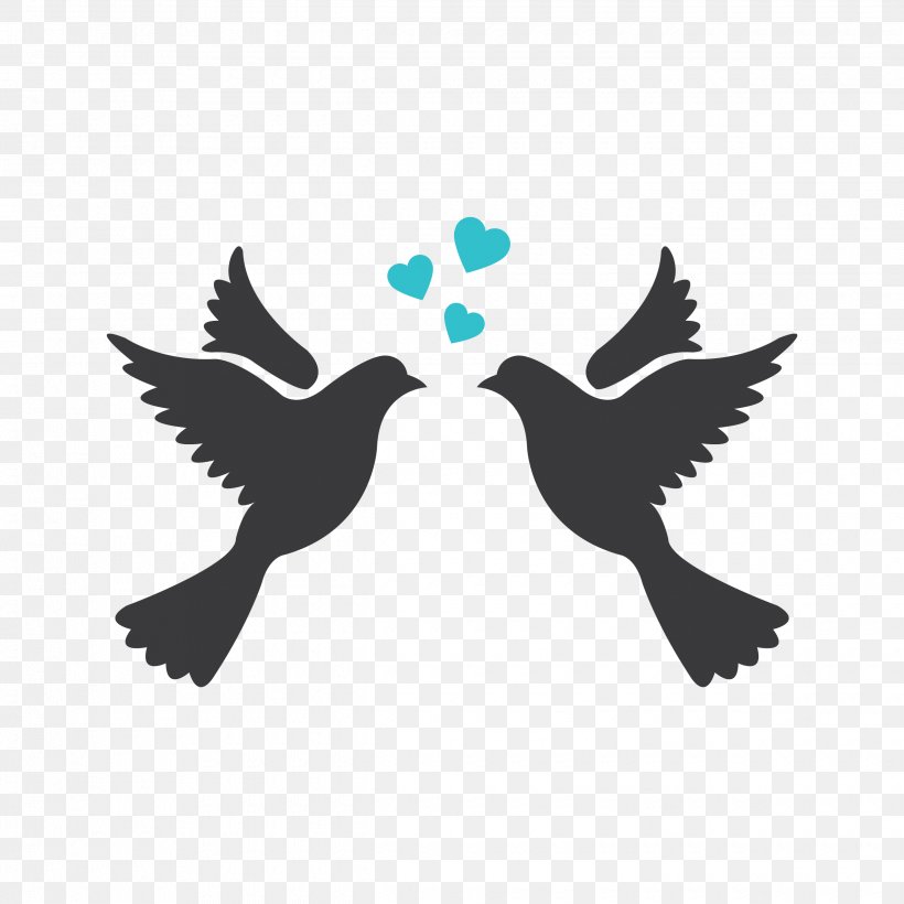 Lovebird Silhouette Drawing Clip Art, PNG, 2480x2480px, Lovebird, Beak, Bird, Birdcage, Blue Jay Download Free
