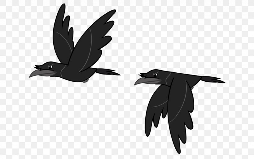 Bird Rook Crow Clip Art Image, PNG, 1024x643px, Bird, Art, Beak, Black And White, Common Raven Download Free