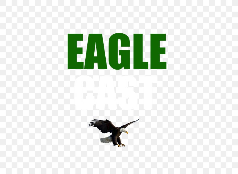 Eagle Transmission And Auto Repair Car Logo Experience Rio De Janeiro, PNG, 600x600px, Car, Beak, Bird, Bird Of Prey, Brand Download Free