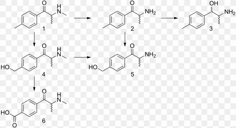 Phenylalanine Substituted Phenethylamine Tyrosine Amino Acid, PNG, 1200x654px, Phenylalanine, Amino Acid, Area, Aromatic Amino Acid, Atom Download Free