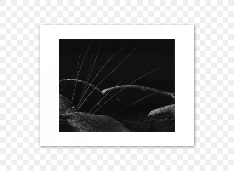 Picture Frames White Black M, PNG, 667x600px, Picture Frames, Black, Black And White, Black M, Picture Frame Download Free