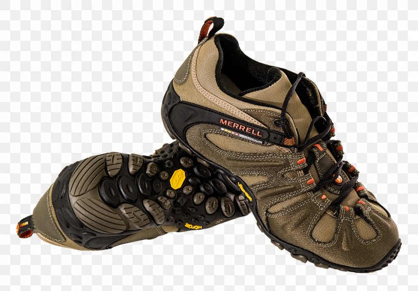 Shoe Footwear, PNG, 1500x1045px, Shoe, Athletic Shoe, Boot, Brown, Clothing Download Free
