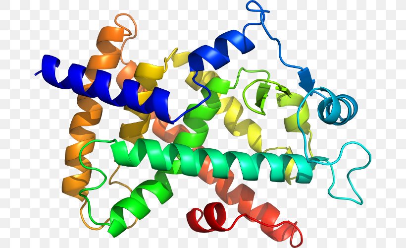 Clip Art Nucleic Acid Protein Structure Amino Acid, PNG, 681x500px, Acid, Amino Acid, Area, Artwork, Biology Download Free