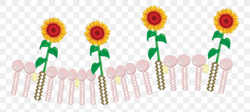 Common Sunflower Floral Design Cut Flowers Body Jewellery Clip Art, PNG, 1280x577px, Common Sunflower, Body Jewellery, Body Jewelry, Cut Flowers, Floral Design Download Free