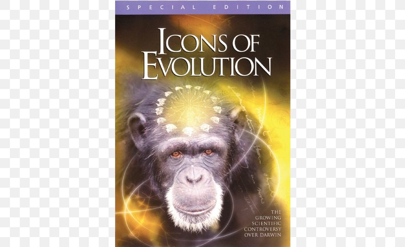 Icons Of Evolution Common Chimpanzee Darwinism DVD, PNG, 500x500px, Common Chimpanzee, Biology, Charles Darwin, Darwinism, Dvd Download Free