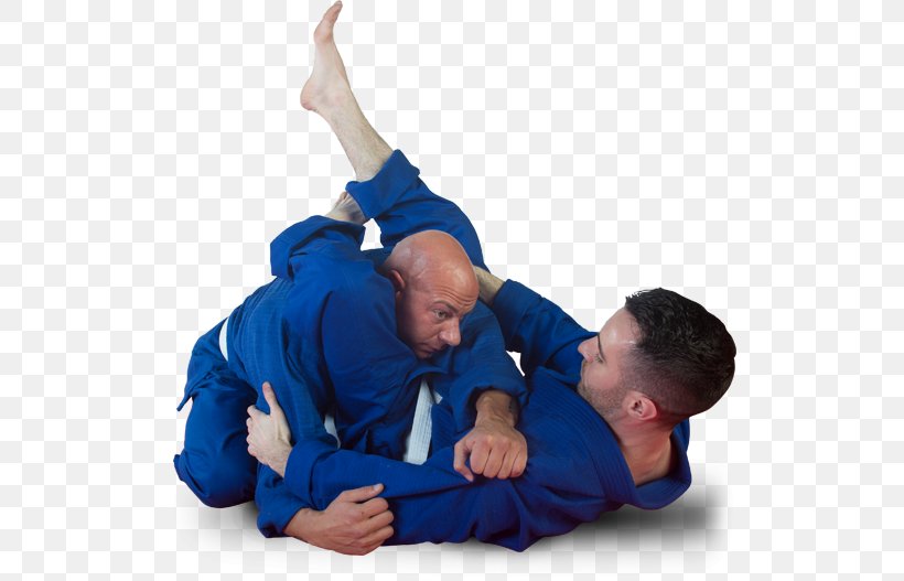 Martial Arts Shifu Self-defense Research Training, PNG, 516x527px, Martial Arts, Aggression, Arm, Author, Blue Download Free
