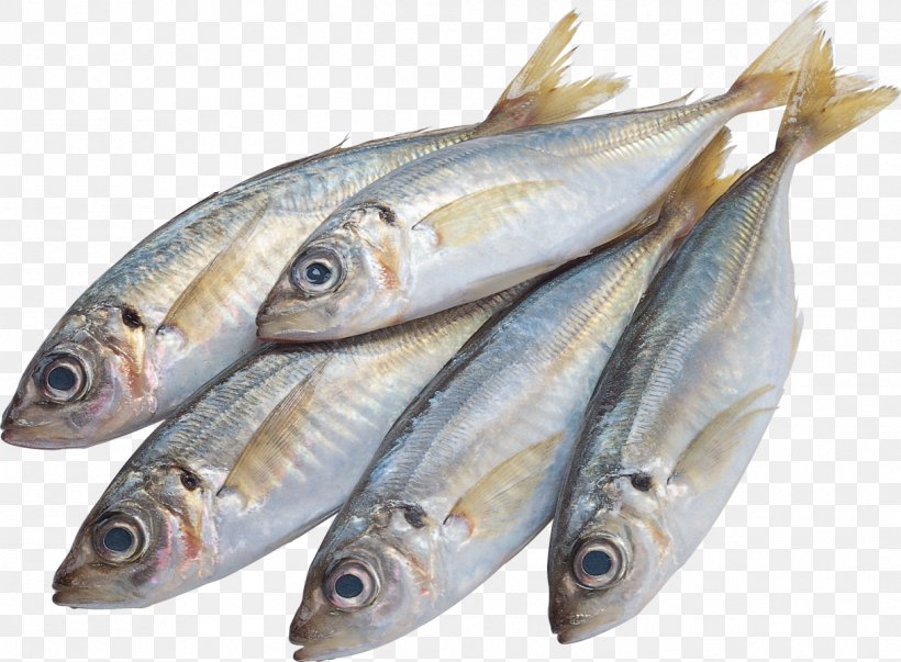 Clip Art Transparency Image Fish, PNG, 1217x896px, Fish, Anchovy, Animal Source Foods, Capelin, Fish Products Download Free