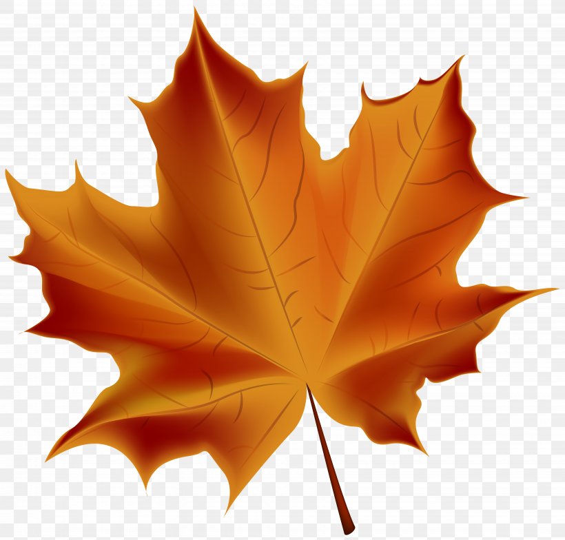 Autumn Leaf Color Clip Art, PNG, 7000x6697px, Autumn Leaf Color, Autumn, Color, Deciduous, Leaf Download Free