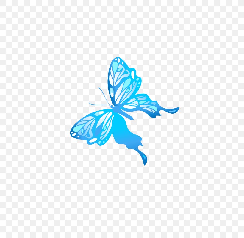 Butterfly Blue Computer File, PNG, 800x800px, Butterfly, Aqua, Blue, Butterflies And Moths, Color Download Free