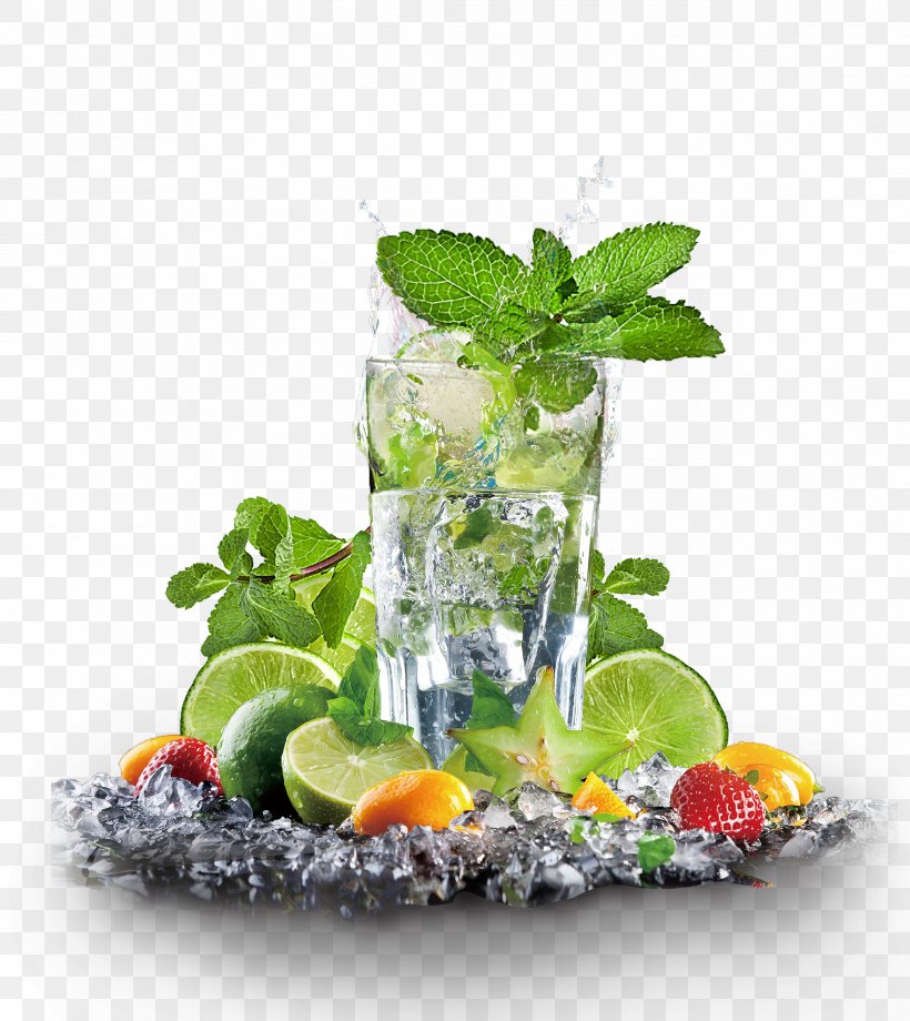 Maghrebi Mint Tea Juice Iced Tea Lemon, PNG, 2582x2900px, Tea, Cocktail, Cocktail Garnish, Drink, Garnish Download Free