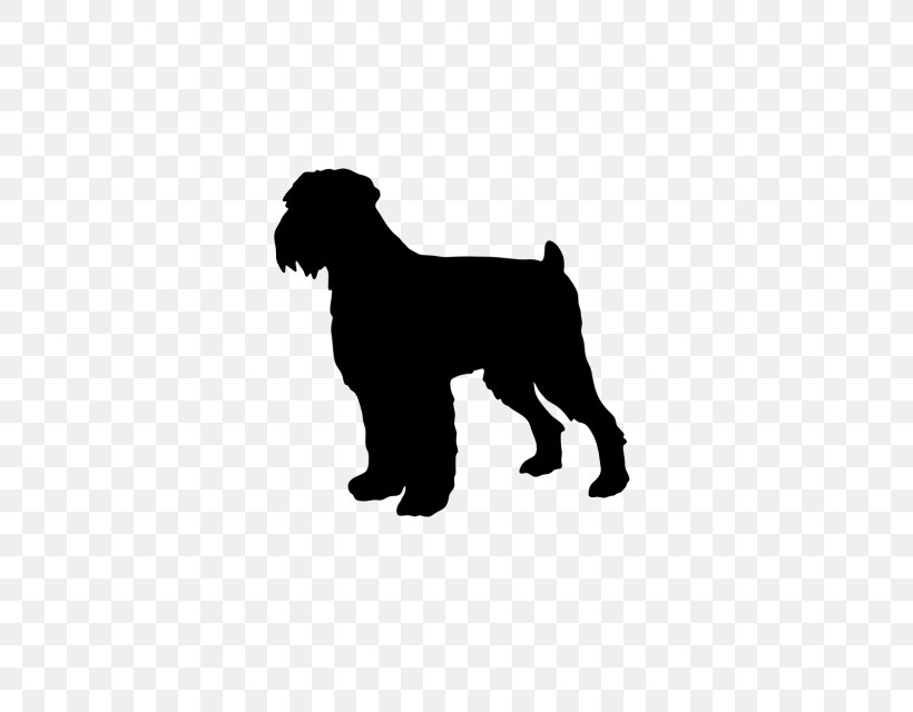 Miniature Schnauzer Affenpinscher Schnoodle Dog Breed Puppy, PNG, 640x640px, Miniature Schnauzer, Affenpinscher, Black, Black Russian Terrier, Breed Download Free