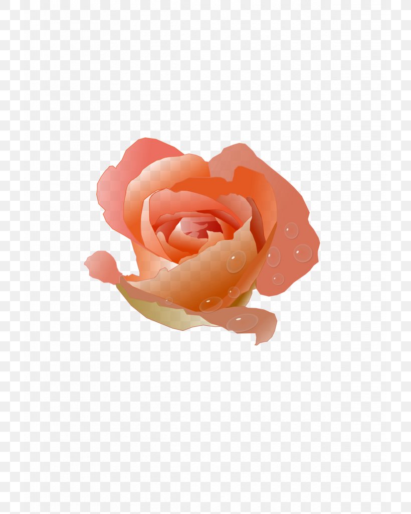 Peach Rose Flower Clip Art, PNG, 724x1024px, Peach, Animation, Color, Coral, Cut Flowers Download Free