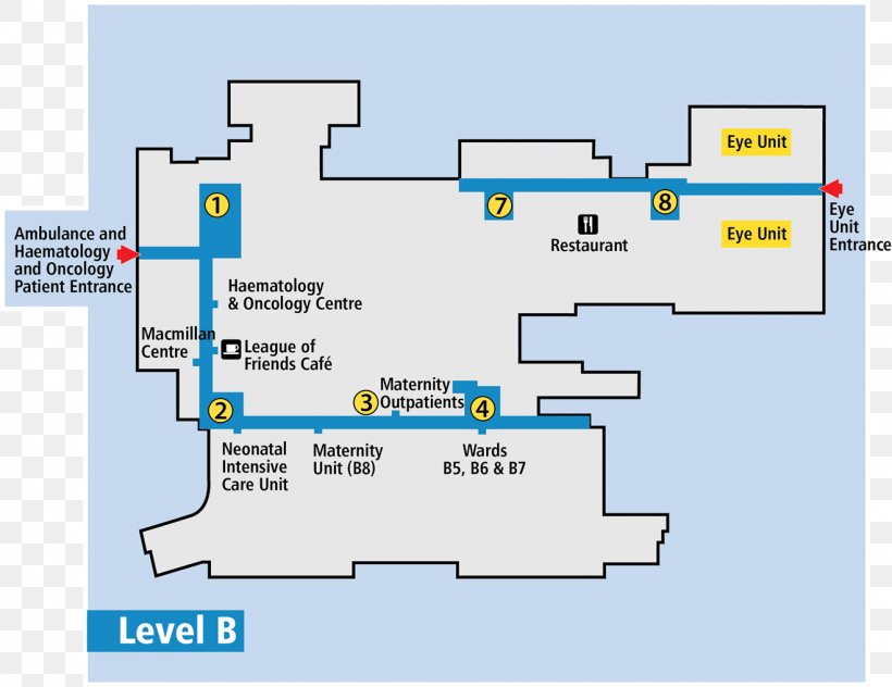 Queen Alexandra Hospital Maternity Centre Childbirth Neonatal Intensive Care Unit, PNG, 1319x1018px, Queen Alexandra Hospital, Area, Birth Centre, Childbirth, Diagram Download Free