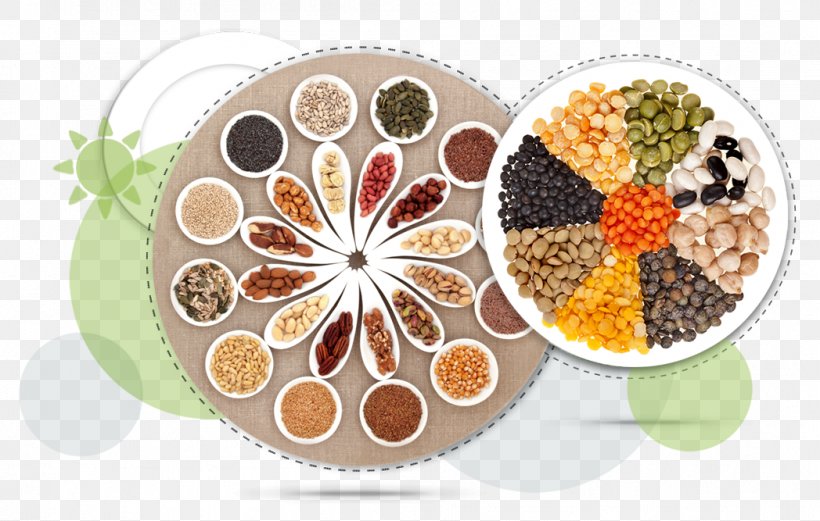 Seed Diet Nutrient Nutrition Health, PNG, 1048x667px, Seed, Auglis, Cuisine, Cut Flowers, Diet Download Free