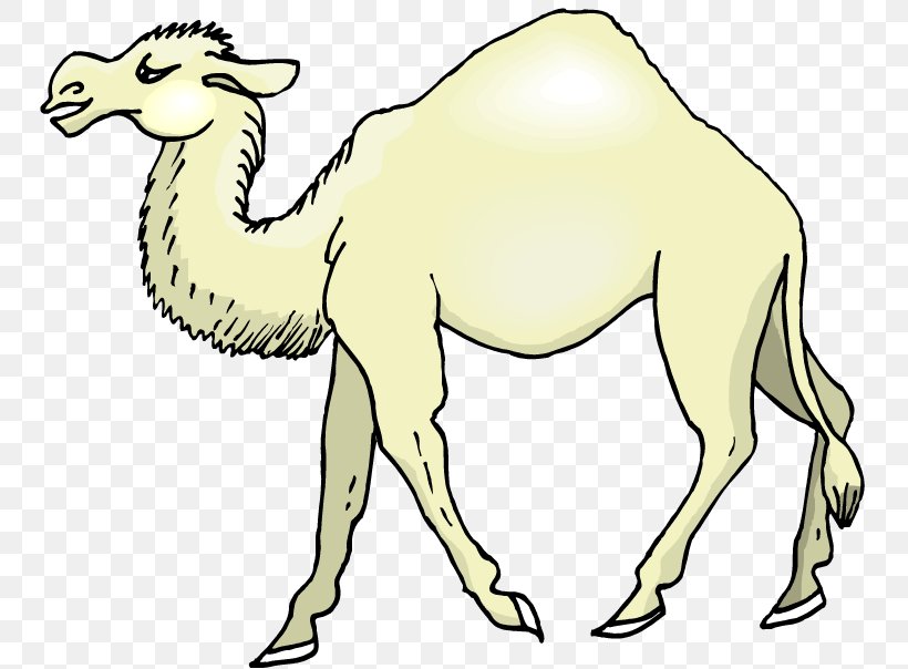 Camel Clip Art Vector Graphics Drawing Image, PNG, 750x604px, Camel, Animal Figure, Arabian Camel, Camel Like Mammal, Cartoon Download Free
