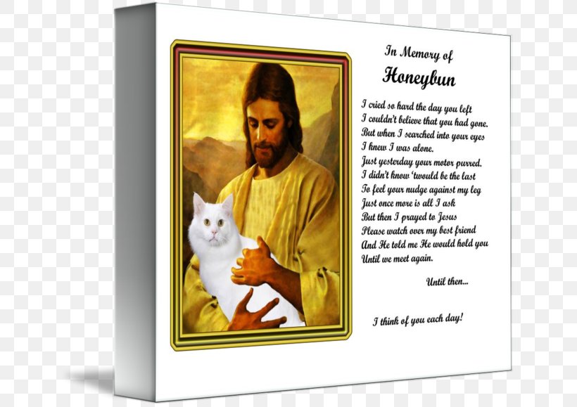 Cat Kitten Picture Frames Pet, PNG, 650x579px, Cat, Art, Behavior, Cat Like Mammal, Human Behavior Download Free