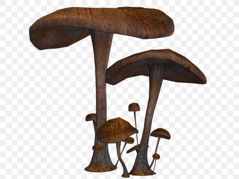 Mushroom Fungus, PNG, 960x720px, Mushroom, Amanita Muscaria, Common Mushroom, Fungus, Furniture Download Free