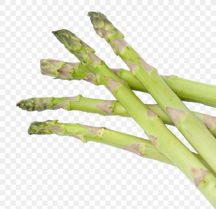 Asparagus, PNG, 1239x1197px, Asparagus, Food, Plant Stem, Vegetable Download Free
