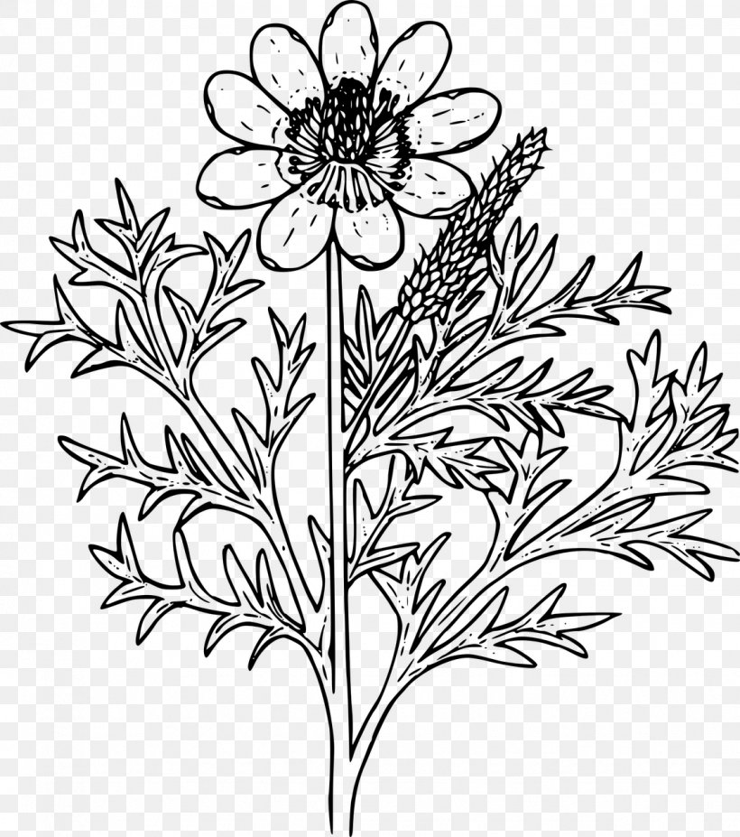 Coloring Book Floral Design Drawing Clip Art, PNG, 1132x1280px, Coloring Book, Artwork, Black And White, Branch, Chrysanths Download Free