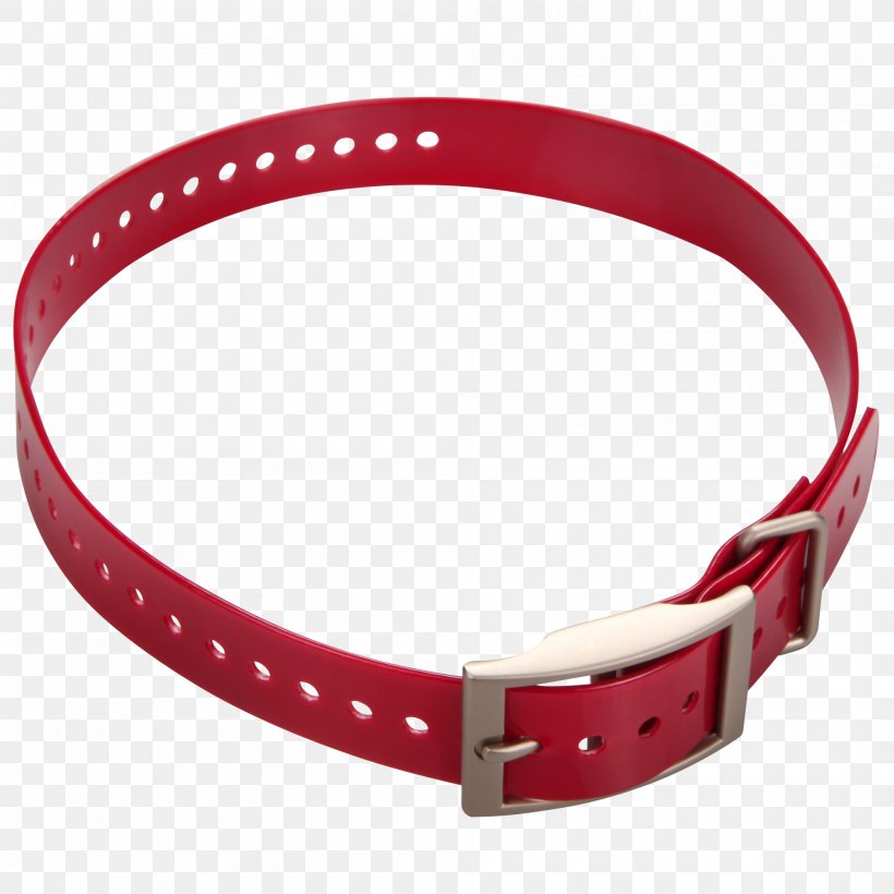 Dog GPS Navigation Systems Collar Strap Garmin Ltd., PNG, 2000x2000px, Dog, Belt, Belt Buckle, Buckle, Collar Download Free