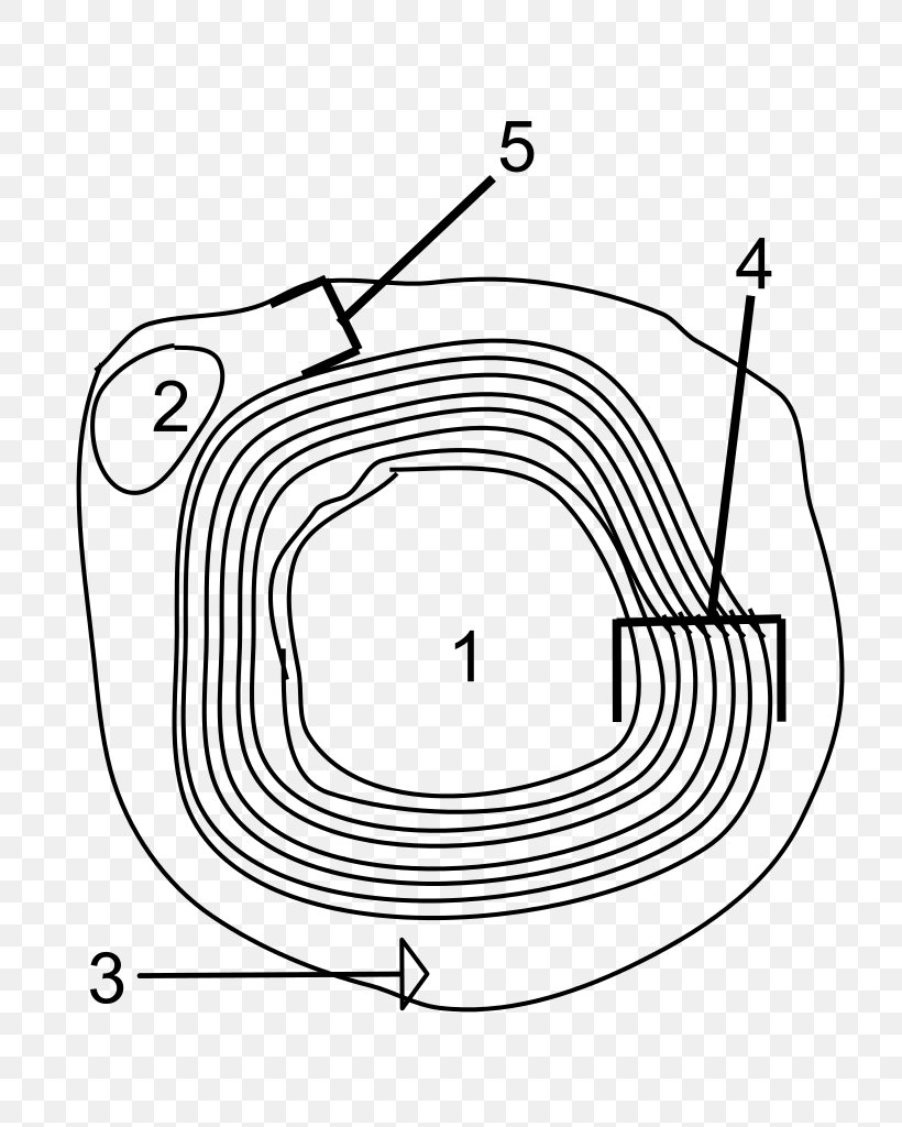 Myelin Axon Neuron Schwann Cell Neurilemma, PNG, 746x1024px, Myelin, Action Potential, Area, Axon, Axon Hillock Download Free