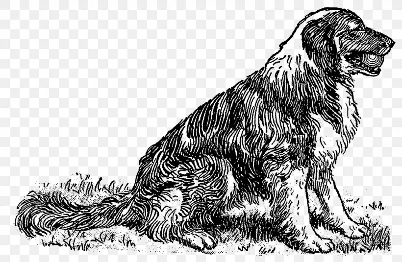 Russian Spaniel Dog Breed Sporting Group Setter, PNG, 1600x1045px, Russian Spaniel, Black And White, Breed, Carnivoran, Dog Download Free