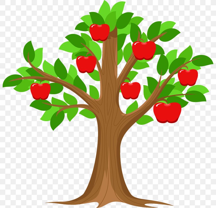 Branch Apple ID Tree Clip Art, PNG, 800x790px, Branch, Apple, Apple Id, Apple Music, Apple Tv Download Free