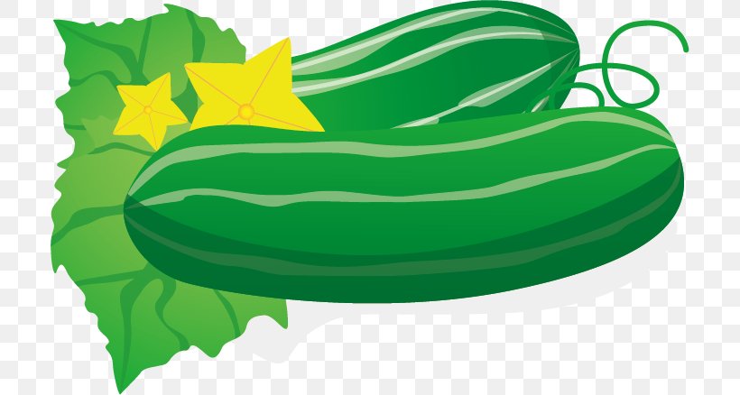 Cucumber, PNG, 708x438px, Cucumber, Cartoon, Cucumis, Food, Fruit Download Free