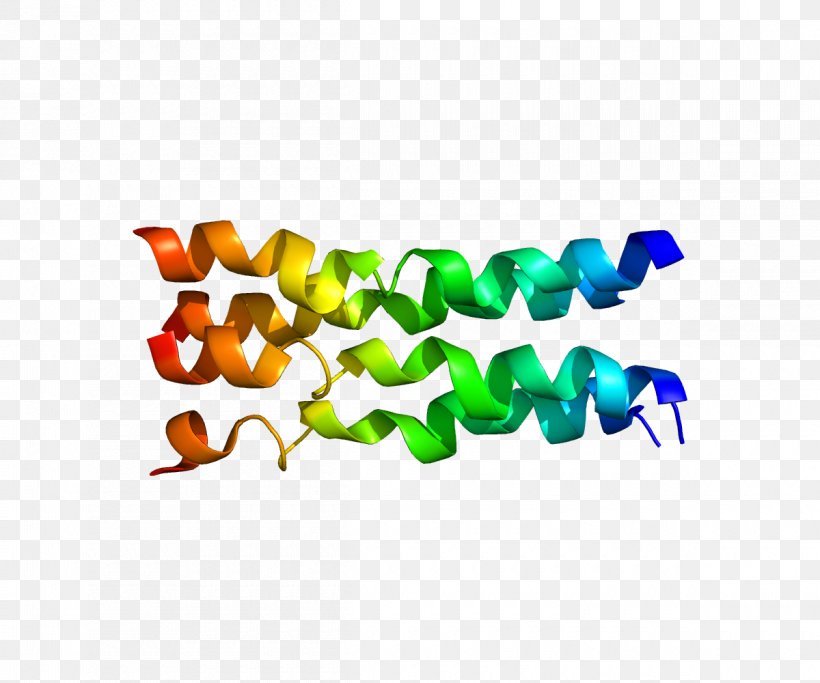 FXYD Family FXYD1 Protein Gene FXYD3, PNG, 1200x1000px, Protein, Animal Figure, Antibody, Body Jewelry, Gene Download Free
