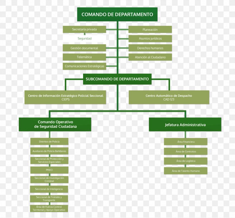 Police Department Organizational Chart