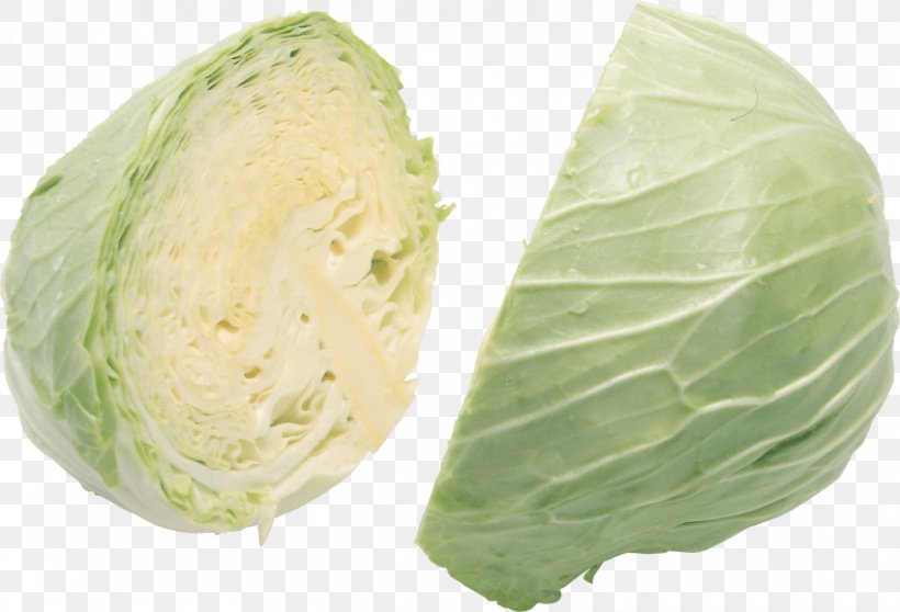 Savoy Cabbage Leaf Vegetable, PNG, 850x579px, Cabbage, Cabbages, Cauliflower, Collard Greens, Cruciferous Vegetables Download Free