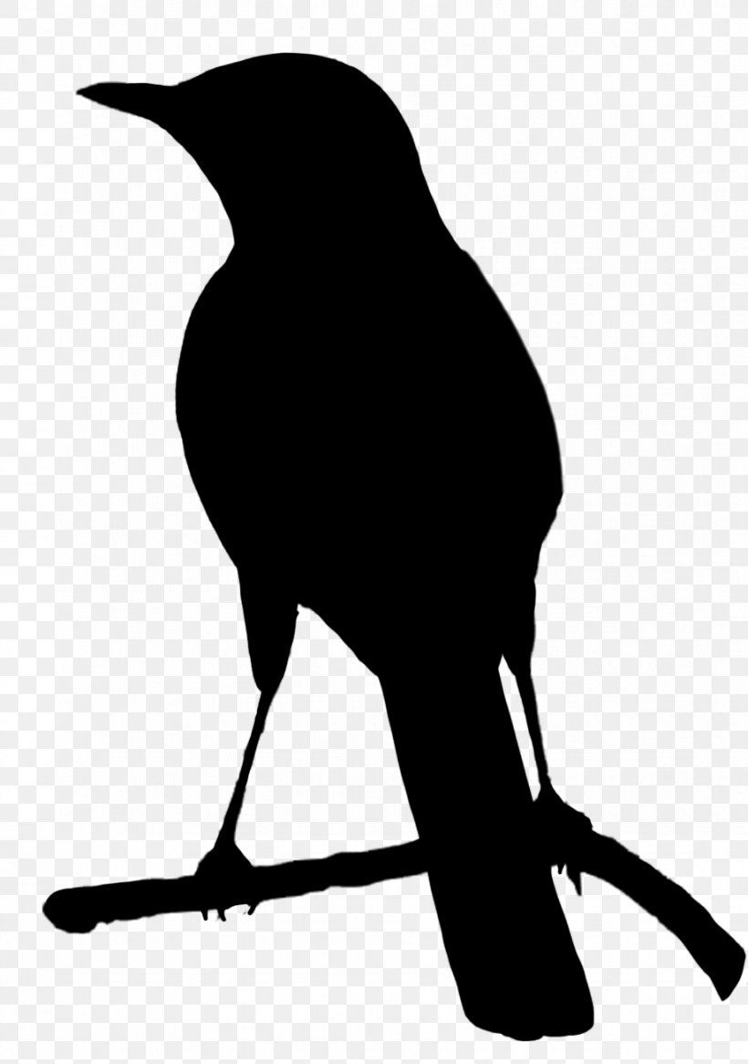 Bird Crows Parrot Silhouette Clip Art, PNG, 919x1306px, Bird, Beak, Bird Flight, Black, Black And White Download Free