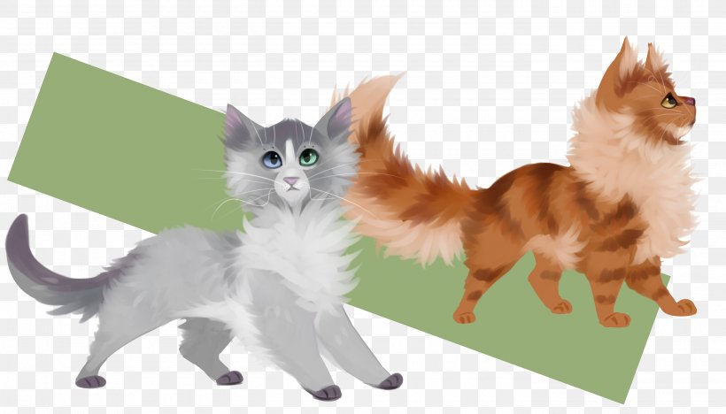 Cat Kitten Whiskers Dog Mammal, PNG, 2800x1600px, Cat, Animal, Canidae, Carnivora, Carnivoran Download Free