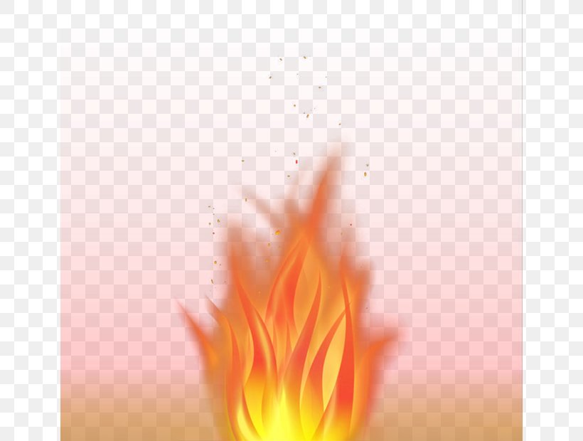 Flame Petal Close-up Wallpaper, PNG, 650x620px, Flame, Closeup, Computer, Heat, Orange Download Free