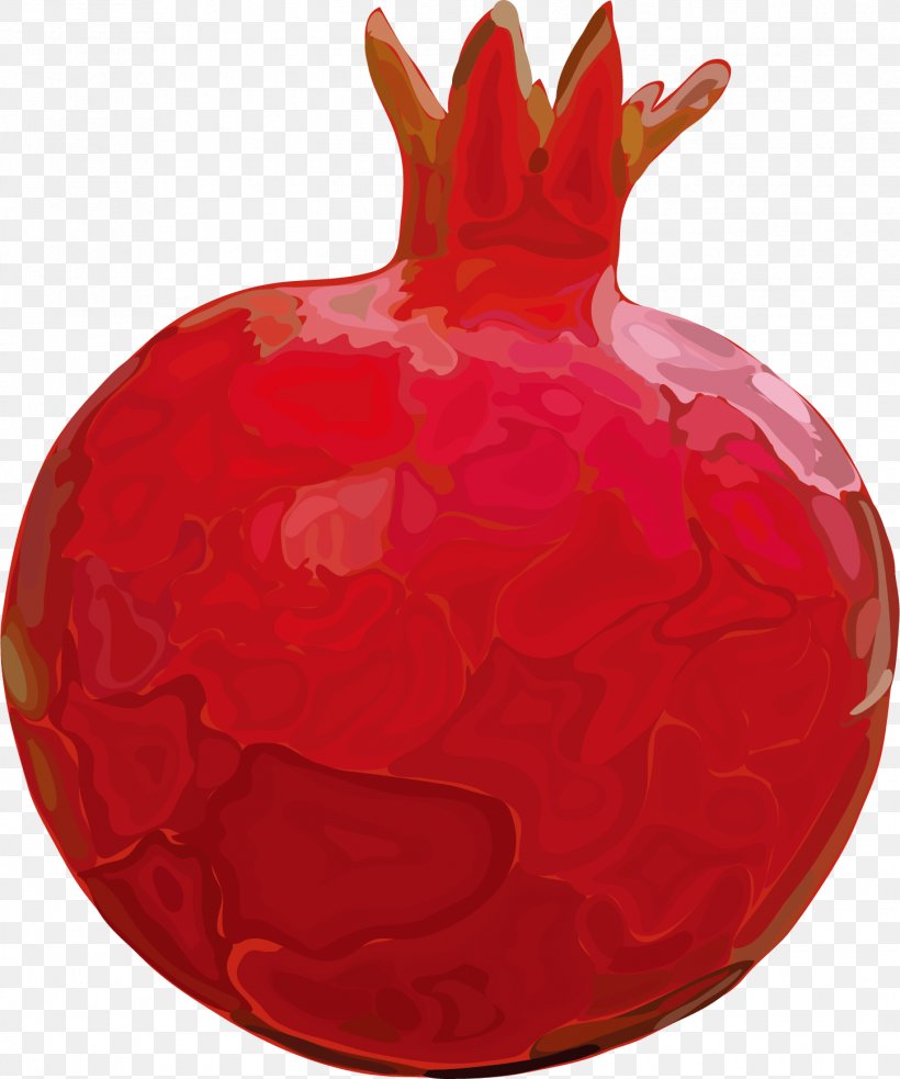 Fruit Pomegranate Euclidean Vector, PNG, 1447x1736px, Fruit, Christmas Ornament, Food, Peel, Pomegranate Download Free