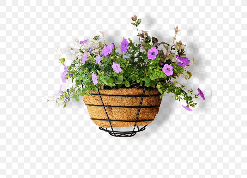Flowerpot Computer File, PNG, 591x591px, Flower, Artificial Flower, Basket, Cut Flowers, Flora Download Free