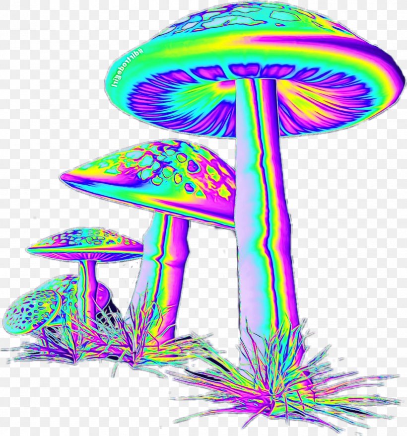 Mushroom Cartoon, PNG, 1377x1475px, Tree, Mushroom, Purple Download Free