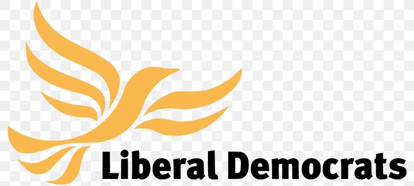 United Kingdom Liberal Democrats Political Party Democracy Liberal Party, PNG, 800x369px, United Kingdom, Brand, Democracy, Liberal Democracy, Liberal Democratic Party Download Free
