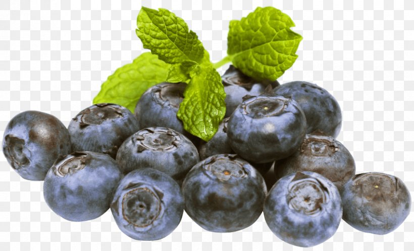 Blueberry Desktop Wallpaper Fruit, PNG, 850x517px, Blueberry, Berry, Bilberry, Chokeberry, Damson Download Free