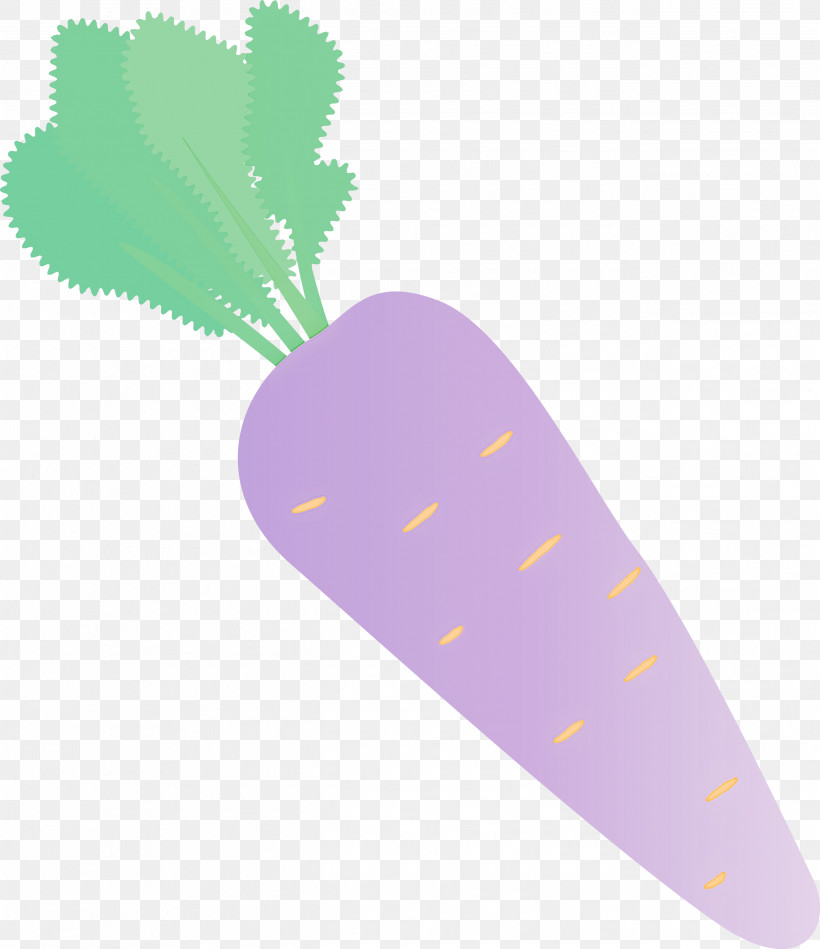 Carrot, PNG, 2591x3000px, Carrot, Biology, Geometry, Lavender, Leaf Download Free